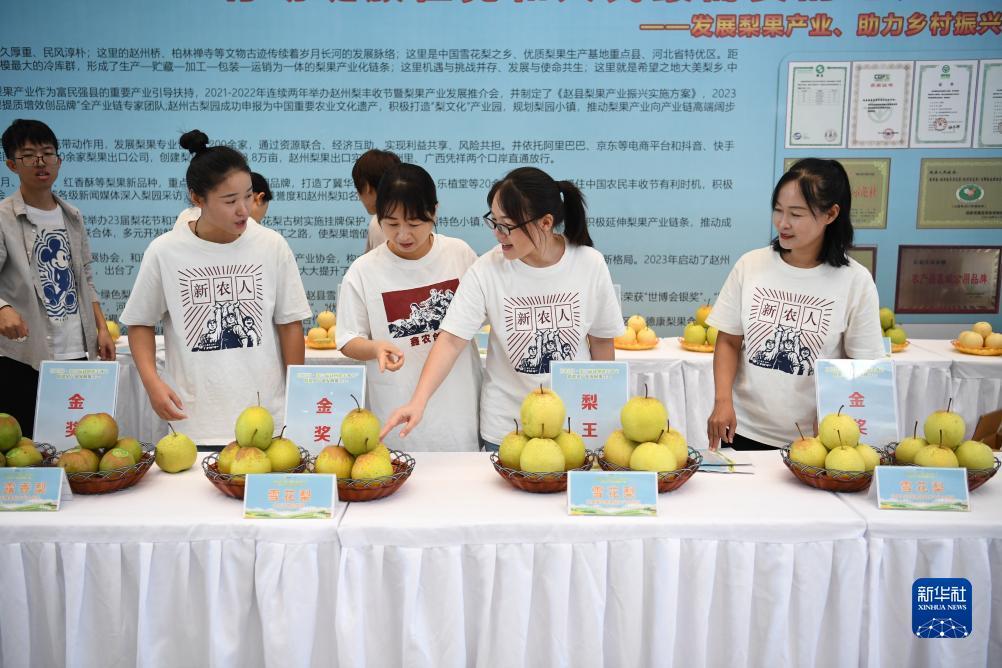 问鼎电子娱乐